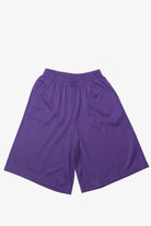 Vintage  Sara Morgan Purple Shorts