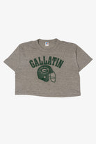 Vintage Gray Gallatin High School Football Cropped T-Shirt (1990s)