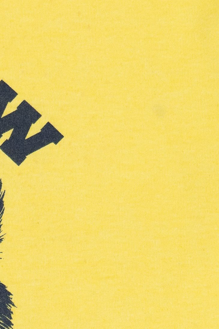 Vintage "Willow Wolves" Single Stitch T-Shirt (1990s)