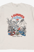 Vintage "I Survived The Ice Storm of '94" Tennessee T-Shirt (1990s)