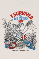 Vintage "I Survived The Ice Storm of '94" Tennessee T-Shirt (1990s)