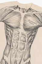 Vintage Leslie Arwin Muscle Anatomy Double Sided Print T-Shirt (1970s)