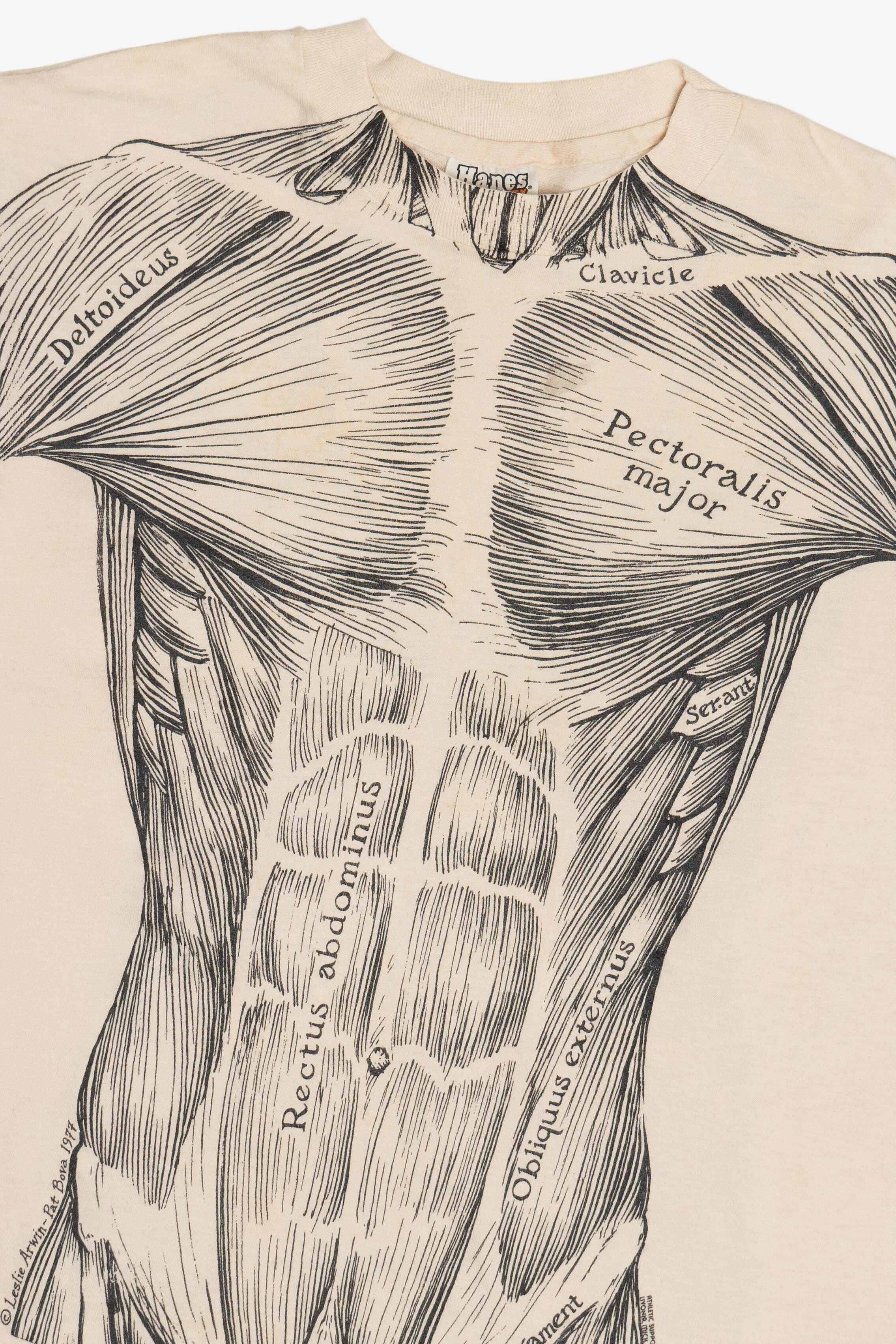 Vintage Leslie Arwin Muscle Anatomy Double Sided Print T-Shirt (1970s)