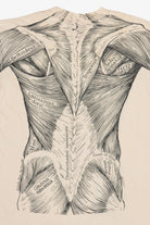 Vintage Leslie Arwin Muscle Anatomy Double Sided Print T-Shirt (1970s)
