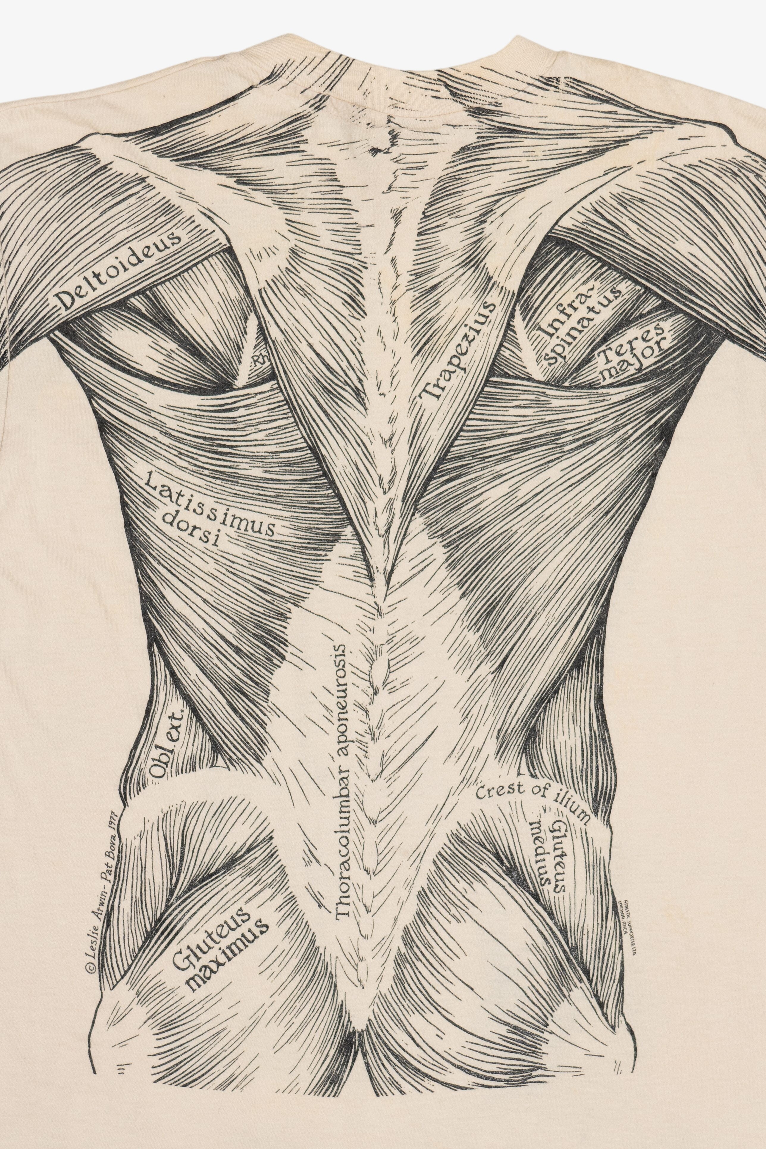 Vintage Leslie Arwin Muscle Anatomy Double Sided Print T-Shirt (1970s)