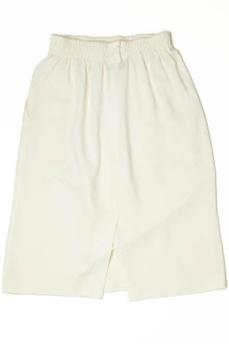 Vintage Briggs NY Skirt