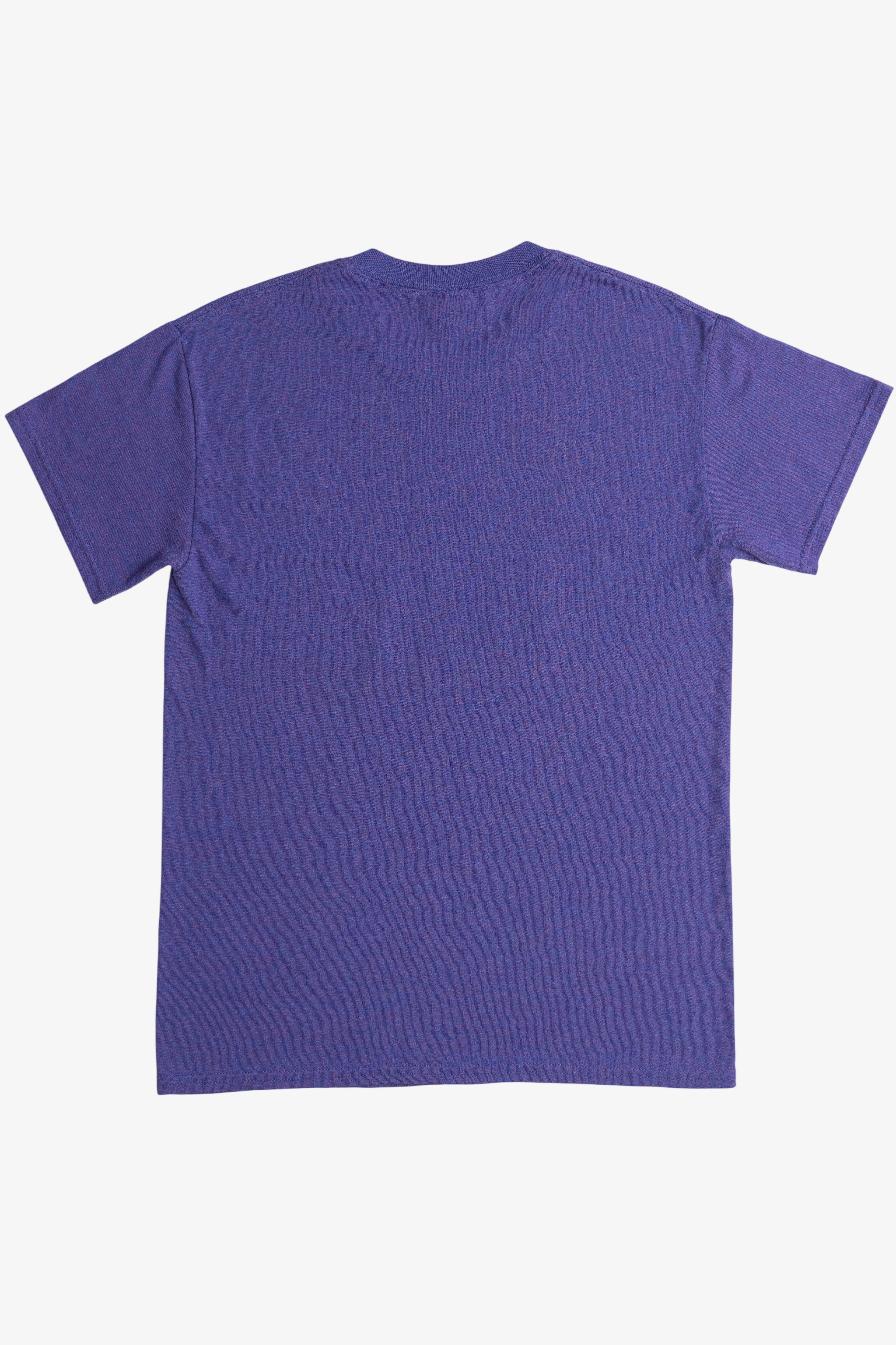 Vintage "Colorado" Scenic Mountains Souvenir T-Shirt (2000s)