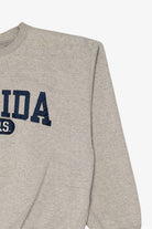 Vintage Gray Florida Gators Sweatshirt (1990s)