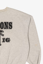 Vintage Atlanta Falcon Jerzees Sweatshirt (1990s)