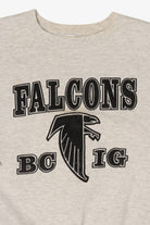 Vintage Atlanta Falcon Jerzees Sweatshirt (1990s)