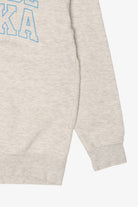 Light Gray Tour De Tonka Sweatshirt (2020s)