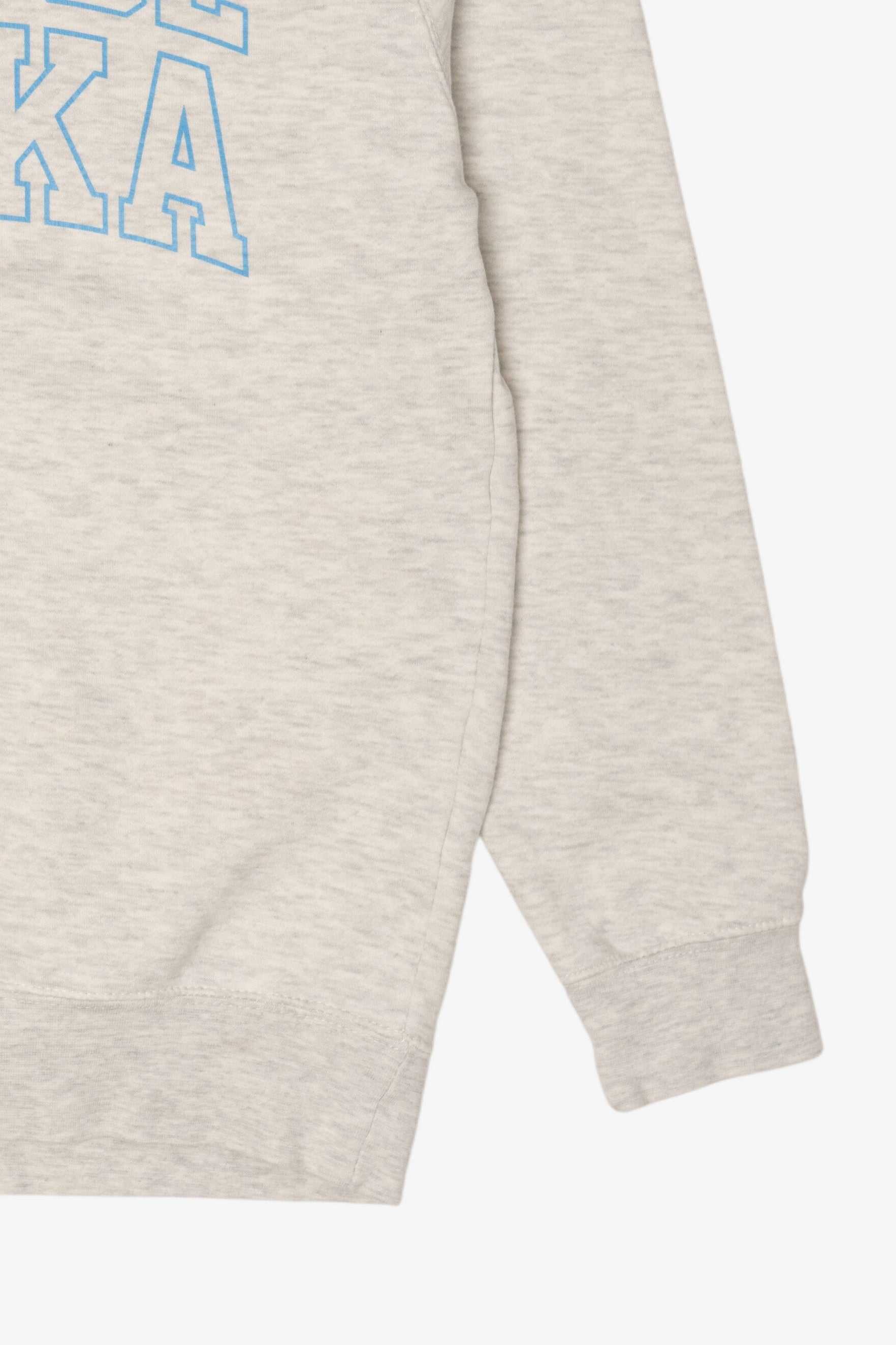 Light Gray Tour De Tonka Sweatshirt (2020s)