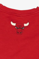 Red Chicago Bulls Spell Out Sweatshirt (2010s)
