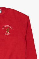 Vintage Red Embroidered Youngsville Eagles Sweatshirt (1990s)