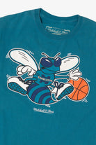 Teal Charlotte Hornets MLB T-Shirt (2010s)