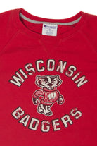 Vintage Wisconsin Badgers Sweatshirt (2000s)