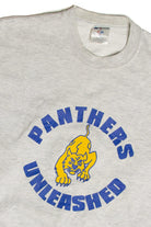 Vintage Panthers Unleashed Sweatshirt
