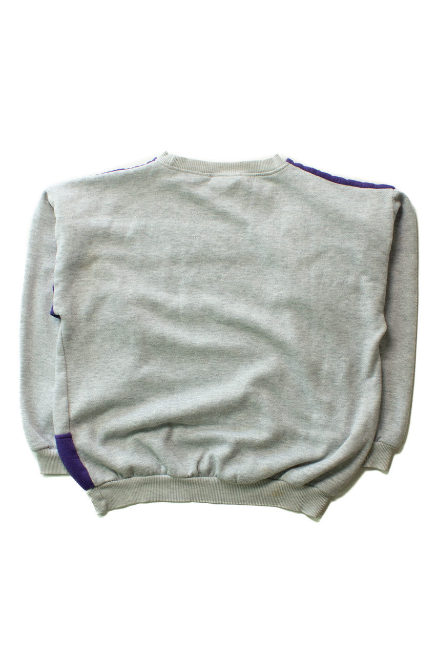 Vintage Gray Pony Color Block Sweatshirt (1990s)
