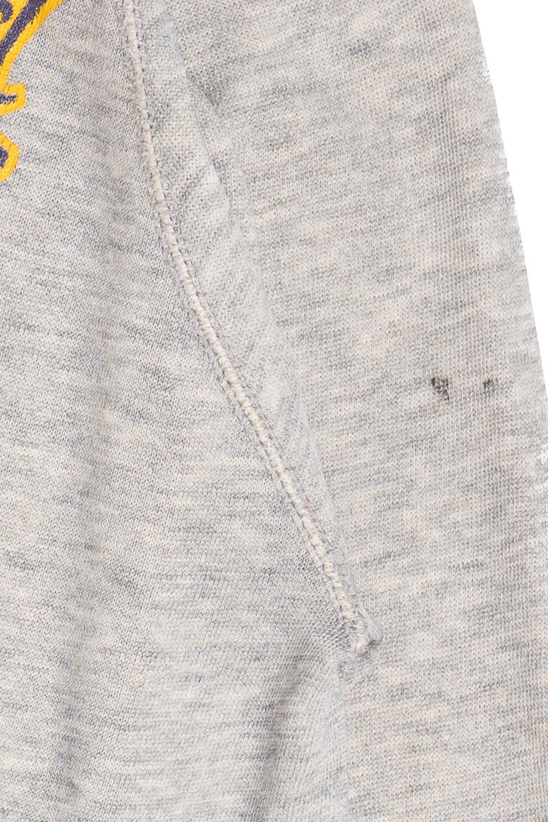 Vintage "Bloomfield Wildcats" Hoodie Sweatshirt