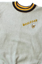 Vintage Wesleyan Football Sweatshirt (1990s)