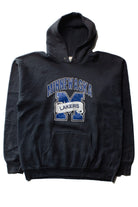 Vintage Minnewaska Lakers Hoodie (1990s)