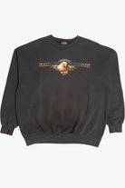 Vintage 2002 Harley Davidson Texas "American Eagle" Sweatshirt (2000s)