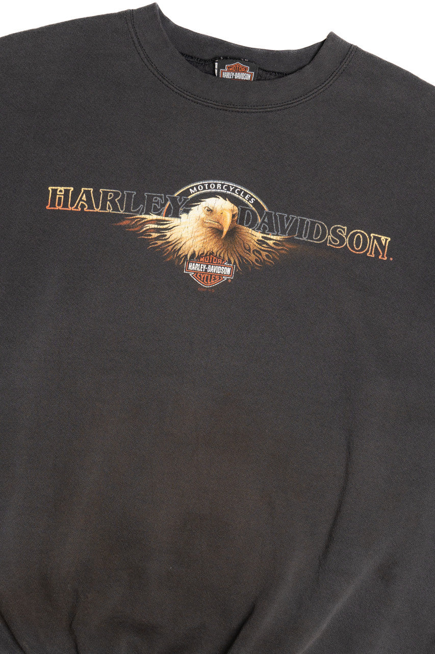 Vintage 2002 Harley Davidson Texas "American Eagle" Sweatshirt (2000s)