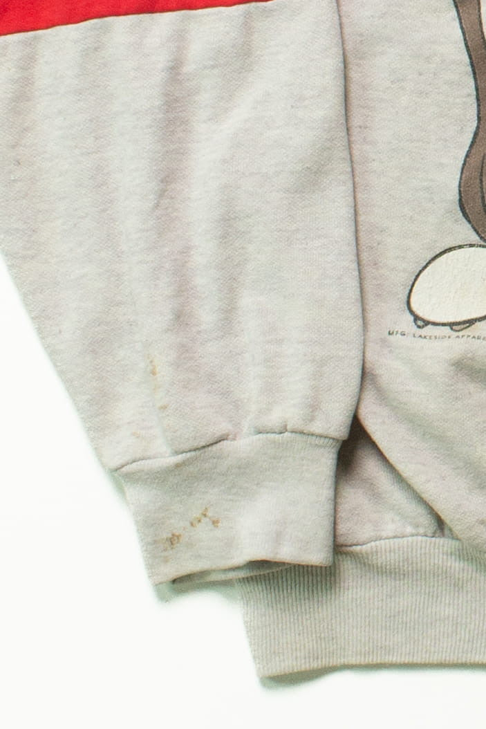 Vintage Kansas City Chiefs Taz Sweatshirt (1994)