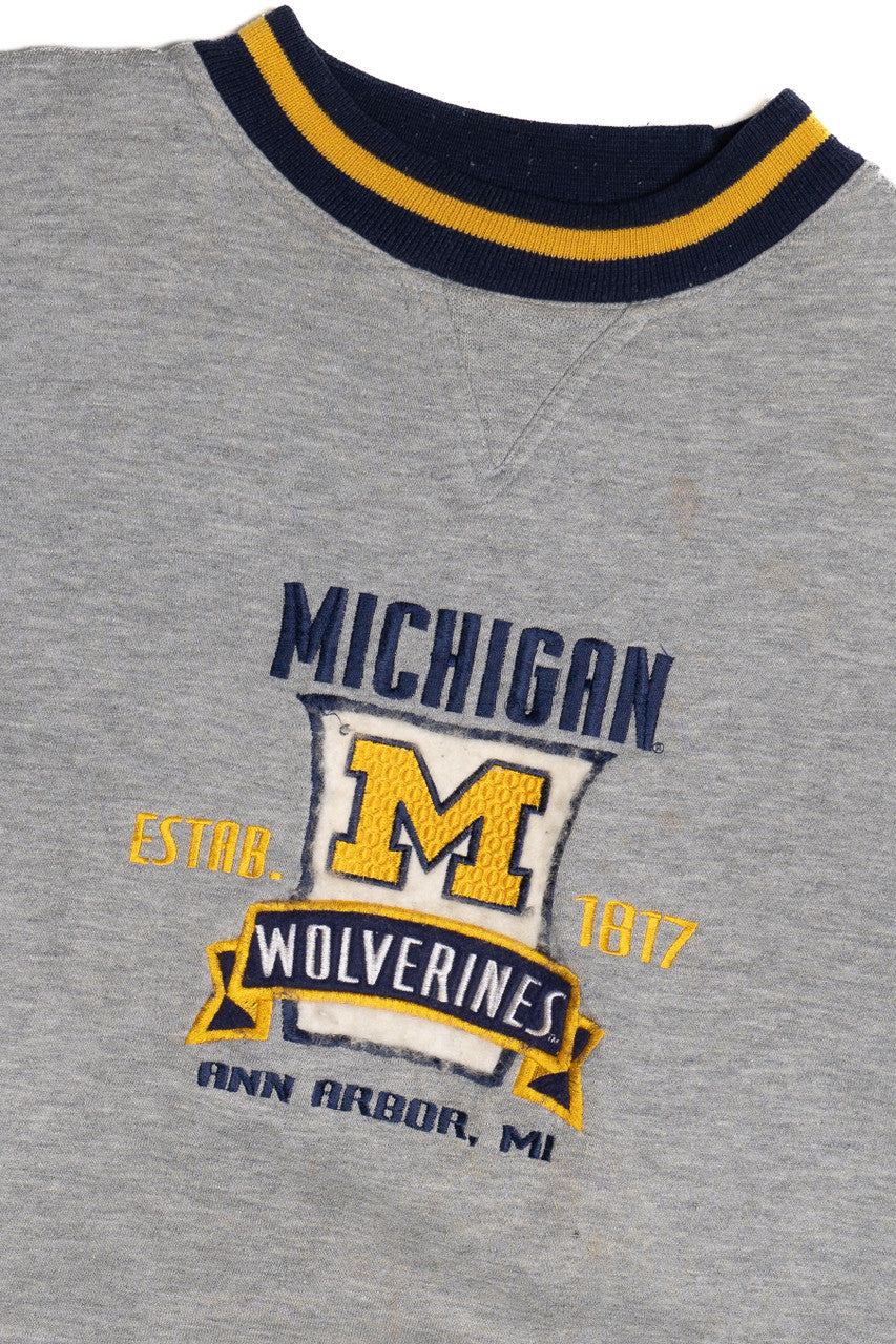 Vintage "Michigan Wolverines" Ann Arbor, MI Sweatshirt
