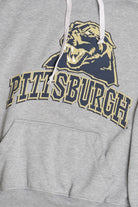 Pittsburgh Panthers Heavy Weight Sweatshirt (2000s)