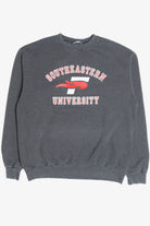 Southeastern University Sweatshirt 11289