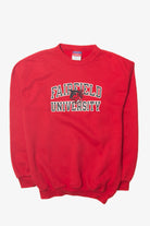 Vintage  Champion "Fairfield University" Sweatshirt