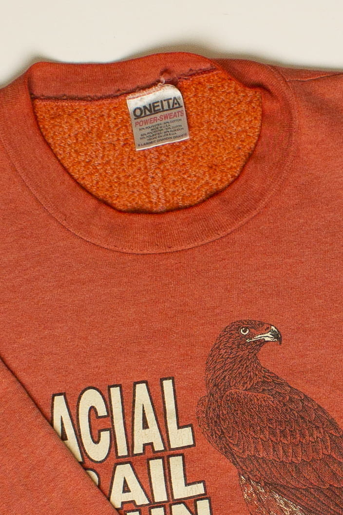 Vintage Glacial Trail Run Sweatshirt (1990s (estimated))