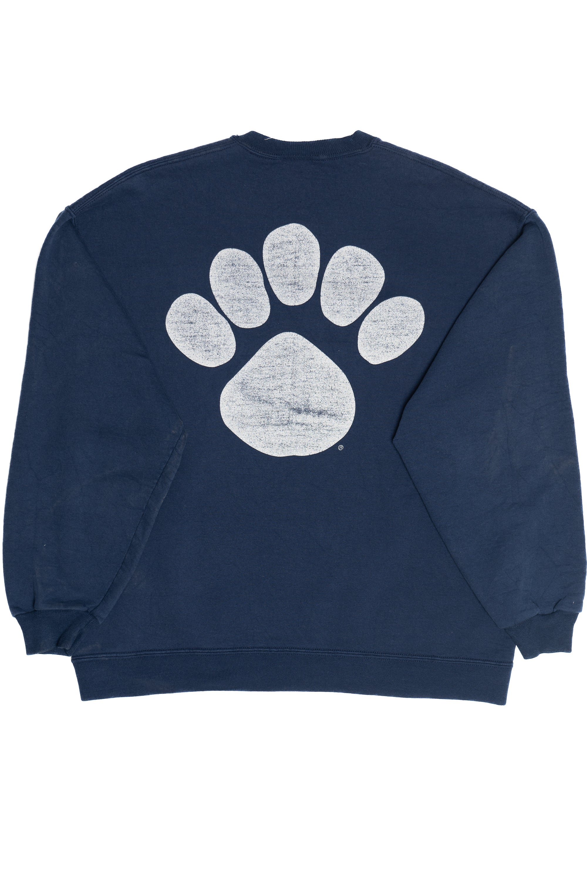 Vintage Penn State Jerzees Sweatshirt (2000s)