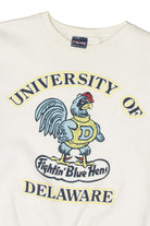 Vintage  "University Of Delaware Fighting Blue Hen" Sweatshirt
