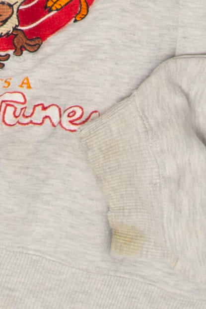 Vintage Embroidered Warner Bros. Looney Tunes Sweatshirt