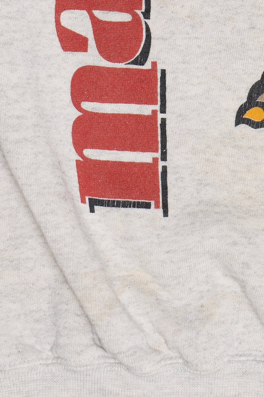 Vintage Maryland Terps University Of Maryland Mascot Sweatshirt (1990s)