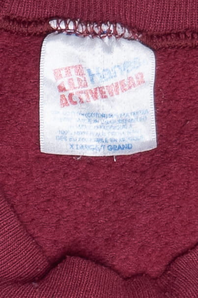 Vintage Epsilon Sigma Alpha Sorority Insignia Sweatshirt (1990s)