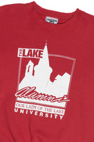 Vintage Our Lady Of The Lake University Alumni Sweatshirt