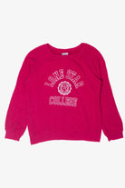 Vintage Lone Star College Sweatshirt (1990s)