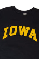 Vintage Iowa Sweatshirt (1990s)