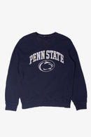 Recycled Penn State Sweatshirt – Ragstock