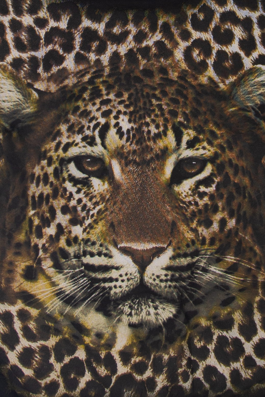 Recycled Leopard Sweatshirt (2010s)