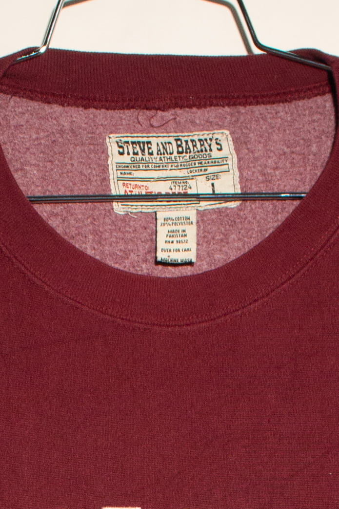 Vintage Texas State Sweatshirt (2000s)