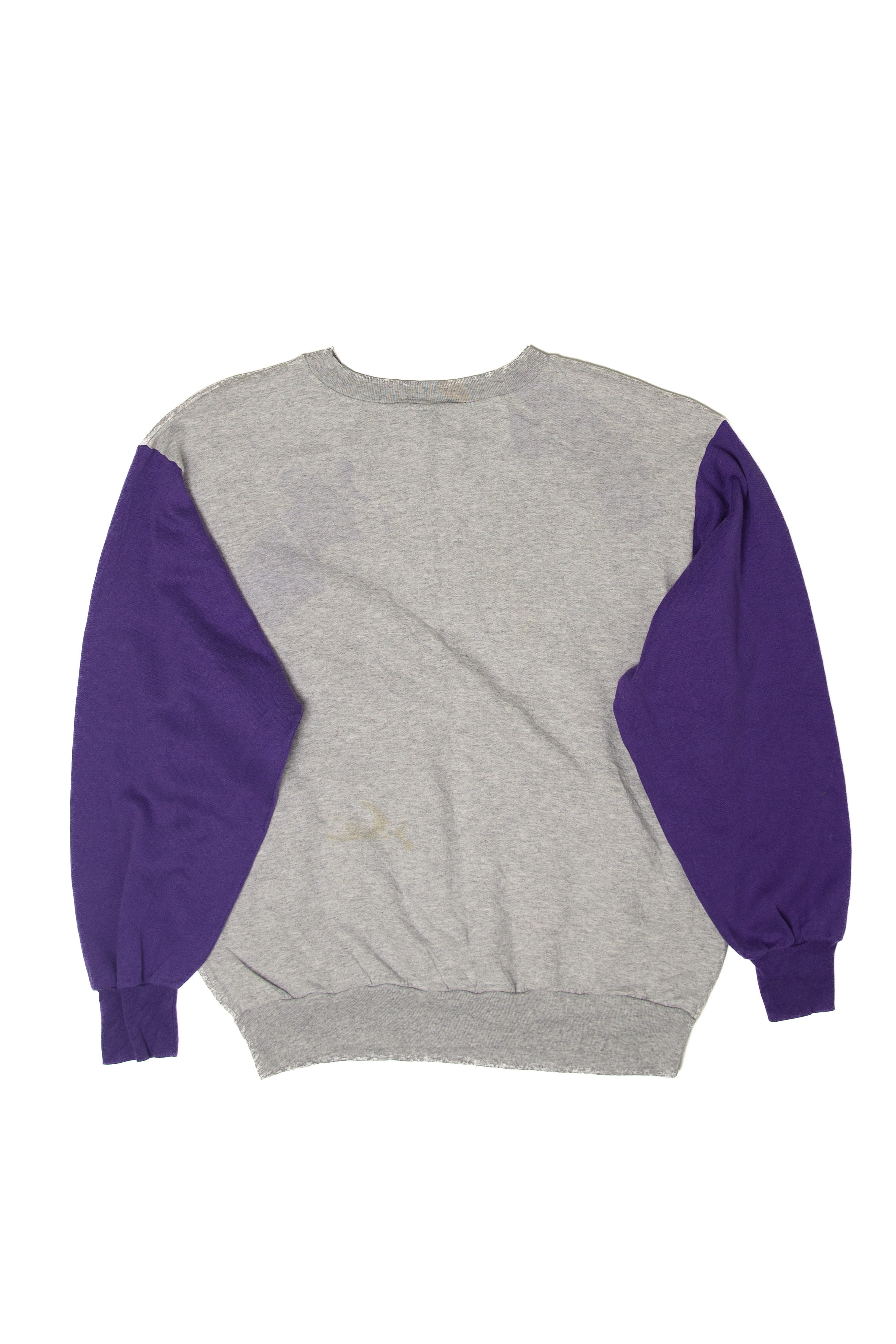 Vintage Minnesota Vikings Sweatshirt (1990s)
