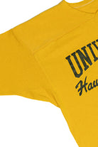 Vintage University of Iowa Hawkeye Football Sweatshirt (1980s)