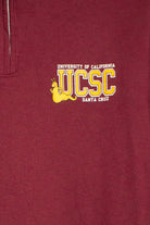 Vintage UC Santa Cruz Quarter Zip Sweatshirt (1990s)