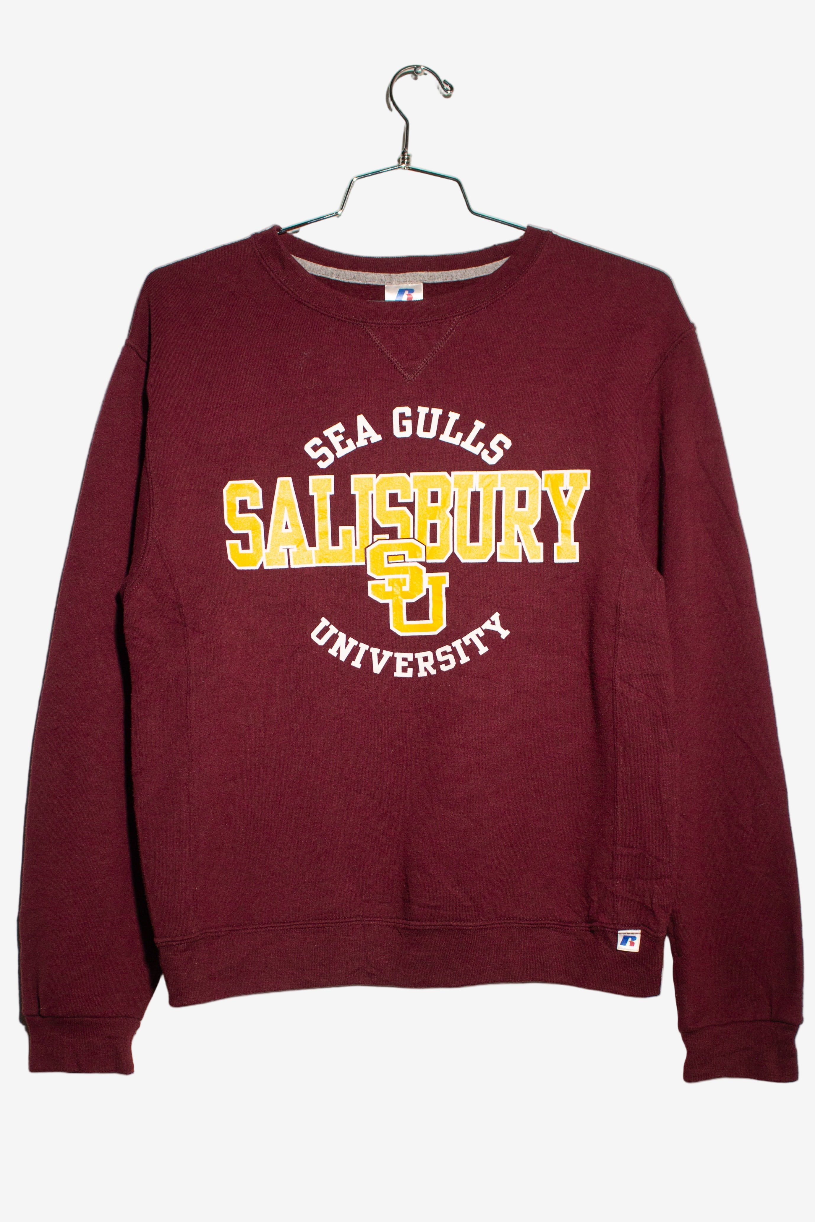 Vintage Salisbury Sea Gulls Sweatshirt (2000s)