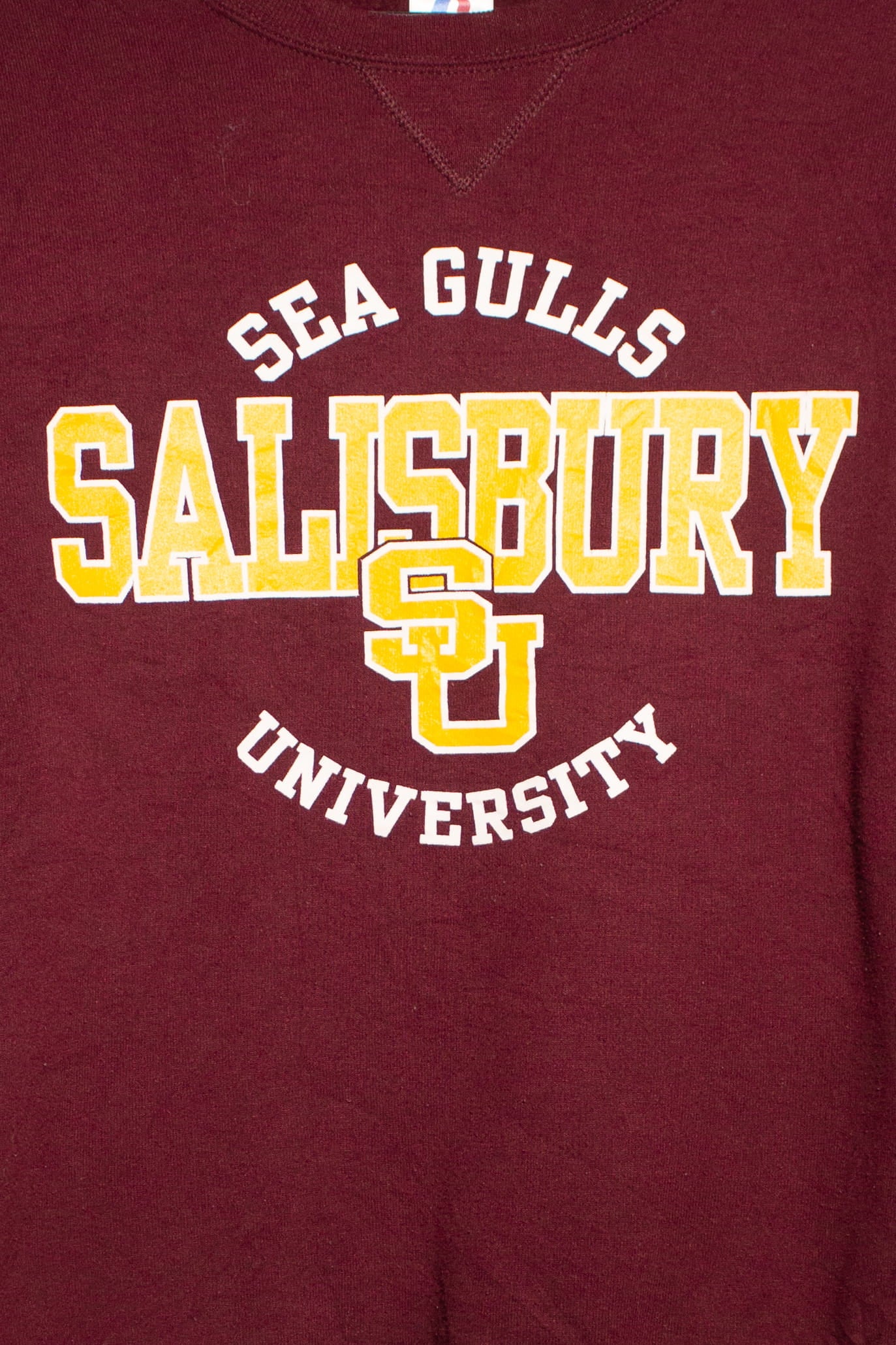 Vintage Salisbury Sea Gulls Sweatshirt (2000s)