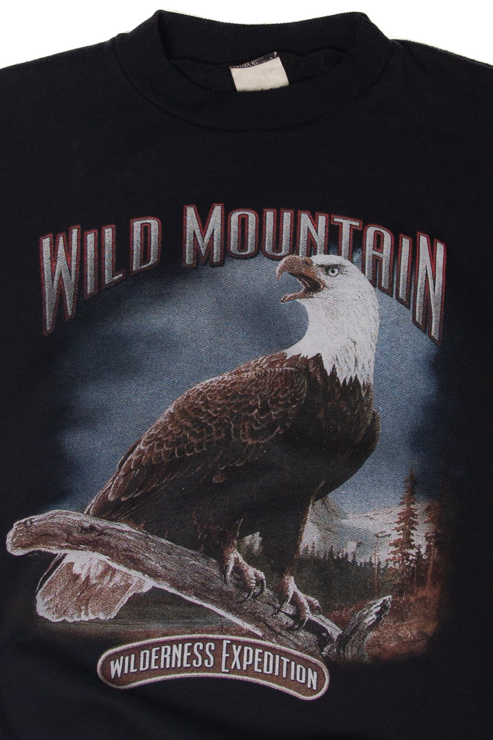 Vintage Wild Mountain Eagle Sweatshirt (1990s)